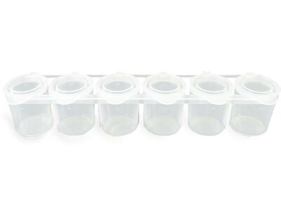 Six_Pack_leeg_Sminkies-Events