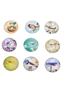 Cabochon Mix Vogels 16mm Cabochon Mix Vogels 16mm